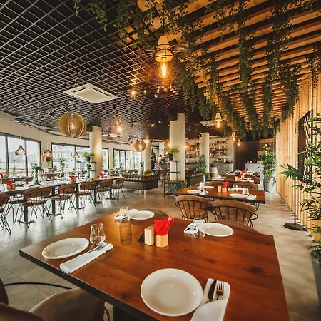 Amadeus In Caesar & Spa, Long