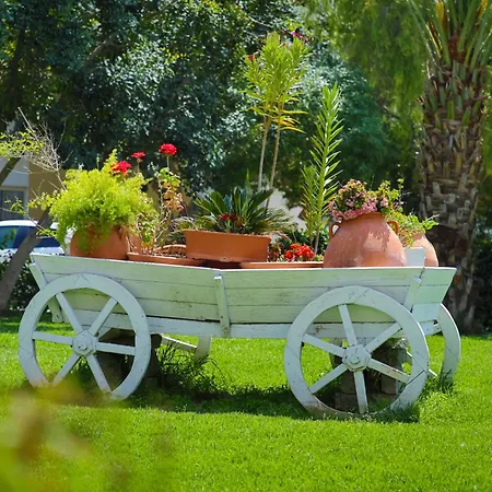 Amadeus In Caesar & Spa, Long 公寓 *